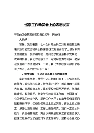 巡察工作动员会上的表态发言（学校）