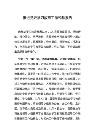 推进党史学习教育工作经验报告2000字