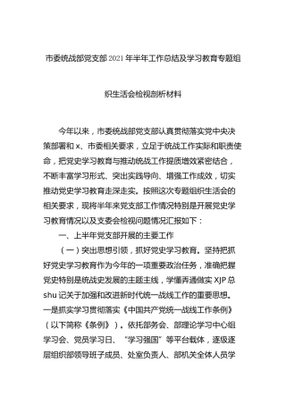 统战班子党史学习教育组织生活会对照检查（含上半年总结）