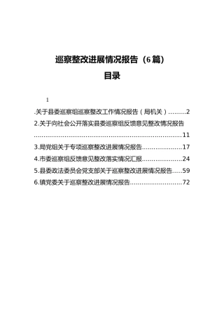 巡察整改进展情况总结报告6篇