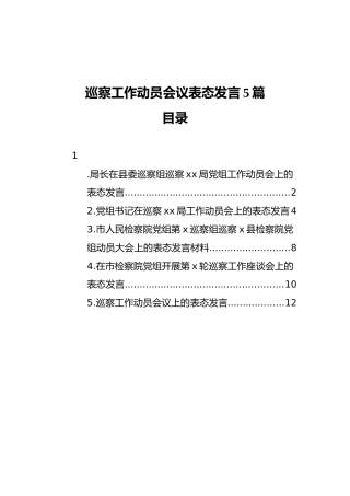 巡察工作动员会议表态发言5篇（群管理分享）