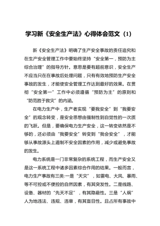 学习新《安全生产法》心得体会2篇