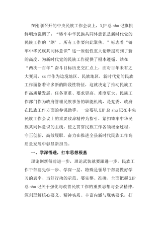 学习民族工作会议讲话心得体会（民宗）