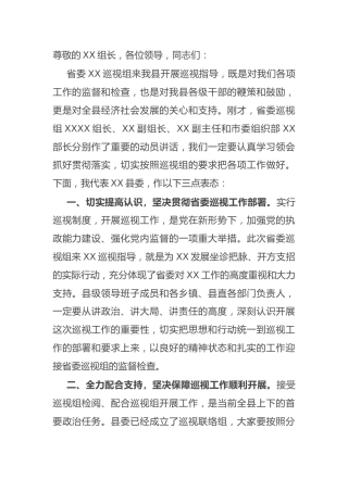 县委书记在巡视工作动员会上的表态发言