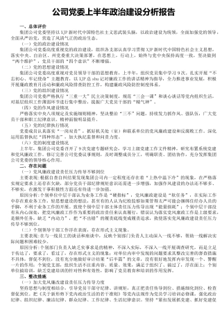 上半年政治建设分析报告（公司1900字）