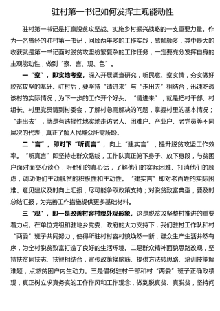 微党课：驻村第一书记如何发挥主观能动性