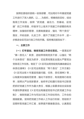 司法系统2021年党建工作总结报告2900字