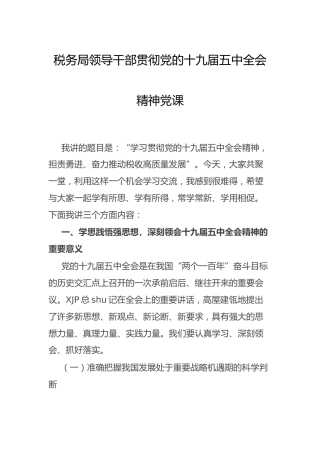 税务工作结合五中全会精神党课（2020年）