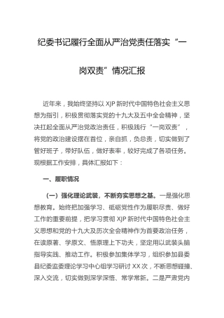 履行全面从严治党责任“一岗双责”情况总结汇报2900字（纪委书记）