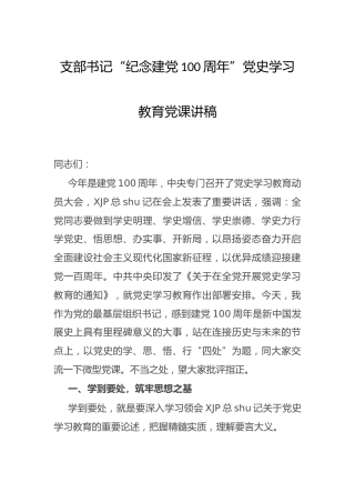 建党100周年党史学习教育党课讲稿4700字