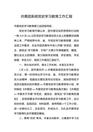 共青团系统党史学习教育工作总结汇报4100字