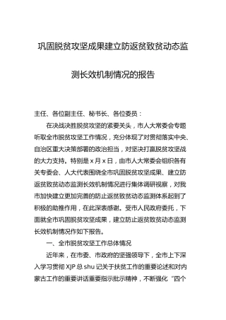 巩固脱贫攻坚成果建立防返贫致贫动态监测长效机制情况的总结报告