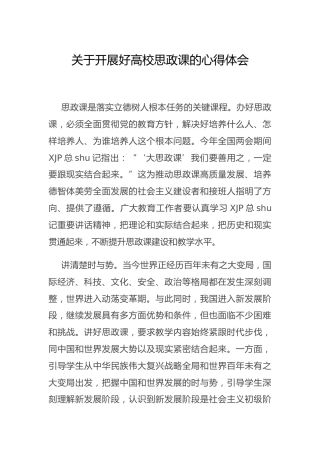 开展高校思政课心得体会（学校）
