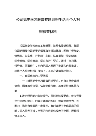 公司党史专题组织生活会个人对照检查材料2600字