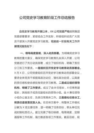 公司党史学习教育阶段性工作总结报告2900字
