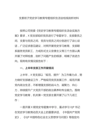 公司班子党史专题组织生活会剖析3500字