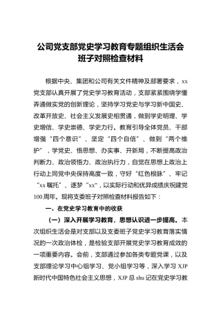 公司班子党史学习教育专题组织生活会对照检查材料2800字