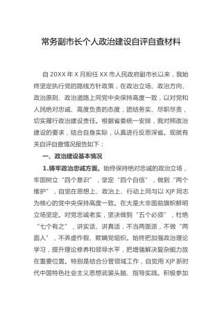 个人政治建设自评自查报告