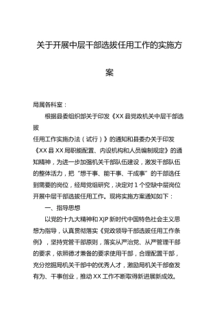 干部选拔任用工作实施方案2篇