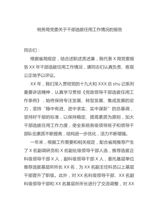干部选拔任用工作情况总结报告（税务）