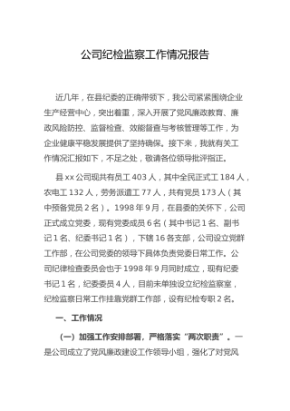 公司纪检监察工作情况总结4600字（多年）