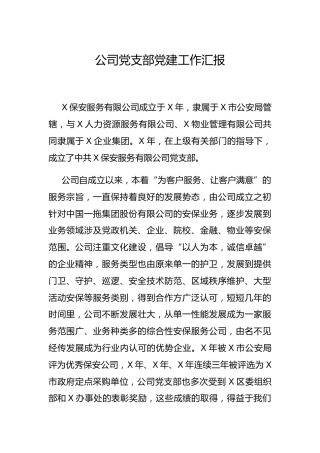 公司党支部党建工作总结汇报3400字