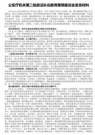 第二批政法队伍教育整顿座谈会发言（公安3100字）