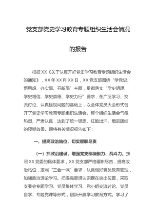 党支部党史专题组织生活会情况总结报告2600字