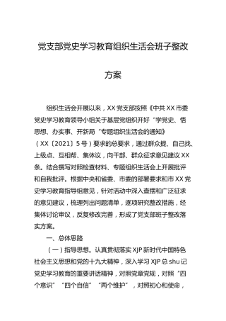 党支部党史学习教育组织生活会班子整改方案2300字