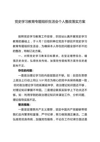 党史专题组织生活会个人检视问题整改方案