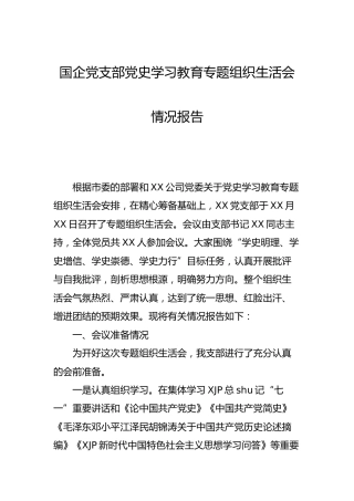 党支部党史学习教育专题组织生活会情况报告（公司）