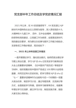 党支部半年工作总结及学党史情况总结3000字