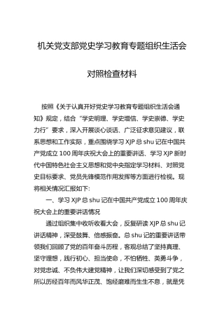 党支部班子党史专题组织生活会对照检查材料3100字