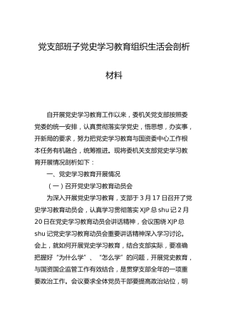 党支部班子党史学习教育组织生活会剖析材料（党史学习教育开展情况总结详细）