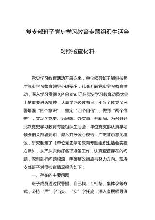 党支部班子党史学习教育专题组织生活会剖析材料4900字 