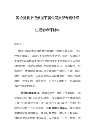 国企党委书记参加公司支部党史专题组织生活会点评材料