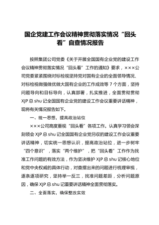 国企党建工作会议精神贯彻落实情况“回头看”自查情况报告3300字