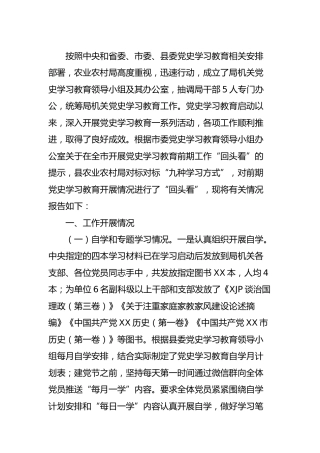 党史学习教育“回头看”自查整改总结报告4000字