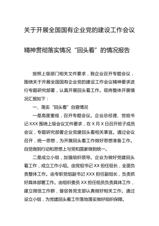国企党的建设会议精神贯彻落实情况“回头看”的情况报告2800字