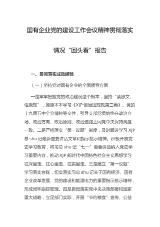 国企党的建设工作会议精神贯彻落实“回头看”总结报告3500字（群管理分享）