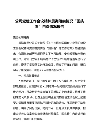 国企党的建设工作会议精神贯彻落实“回头看”自查总结报告2600字