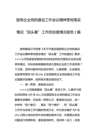国企党的建设工作会议精神“回头看”工作自查总结报告2篇