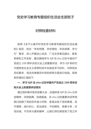 党史专题组织生活会支部班子对照检查材料3100字