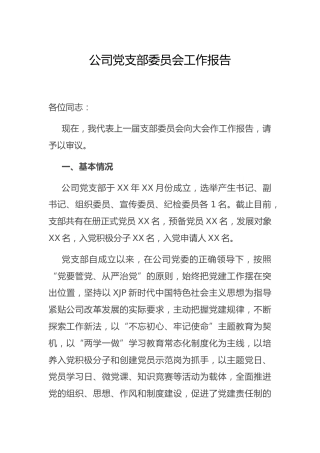 公司党支部委员会工作报告2700字