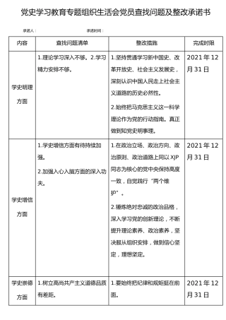 党史专题组织生活会整改问题清单+整改承诺书（表格清单）