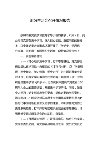党史专题组织生活会召开情况总结报告3100字