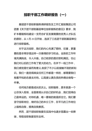 挂职干部工作调研报告2篇