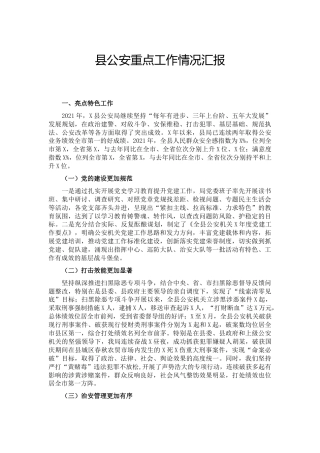 公安系统2021年重点工作情况总结汇报