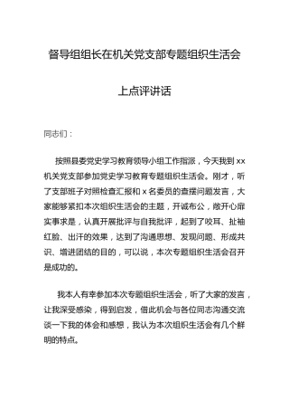 督导组组长在党史专题组织生活会上的点评讲话