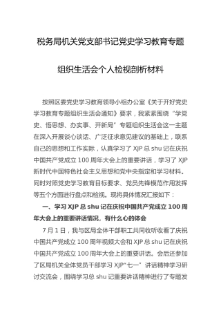 党史专题组织生活会个人剖析材料（税务）
